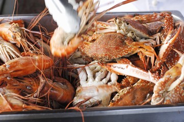 Various crustaceans