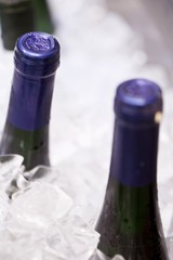 Wine bottles in ice bucket