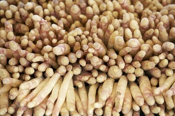 White asparagus, full-frame