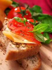 Cheese sandwich with tomato