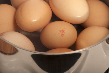 Several boiled eggs in water