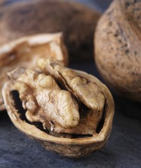 A walnut in its opened shell (close-up)