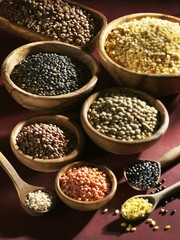 Various shelled and unshelled lentils