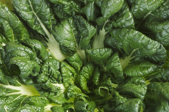 Swiss chard (full-frame)