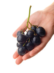 Grapes