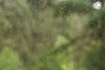 rain droplets in a window