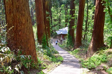 羽黒山の杉並木／山形県鶴岡市の羽黒山参道の杉並木は県指定史跡で、全国かおり風景100選、森林浴の森100選に選定されています。随神門から始まる表参道は、全長約1.7km、2446段の長い石段です。杉並木の数は500本以上で、樹齢350～500年の杉並木です。この杉並木は国の特別天然記念物に指定され「ミシュラン・グリーンガイド・ジャポン」にて、三ツ星を獲得しました。