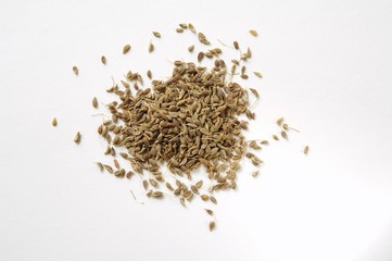 Aniseed