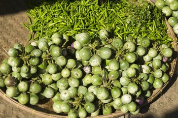 Aubergines and chillies at a market