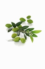 Fresh green olives with olive sprig