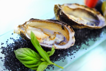Opened oysters on black salt