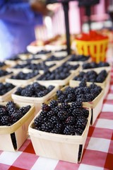 Small Baskets of Blackberries at a Farmers Market
