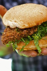 Person Holding a Fried Chicken Sandwich with Lettuce on a Bun