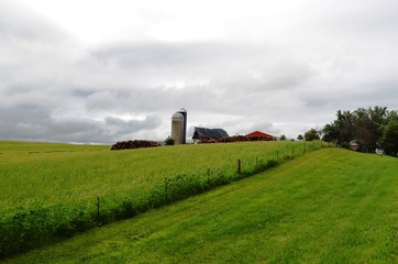 Fototapeta premium Hilly slope and farmland on a stormy day