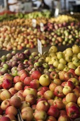 Apples at the Union Square Greenmarket, NYC