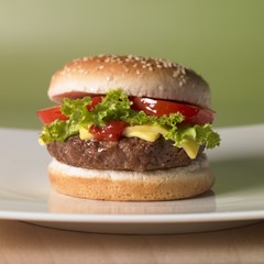 A cheeseburger with tomatoes and a lettuce leaf