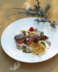 Saddle of venison with Spätzle (soft egg noodles from Swabia) and juniper cream
