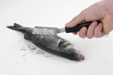 Descaling fish