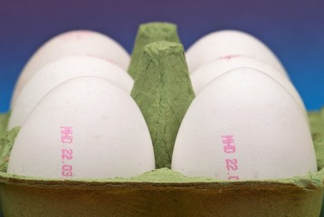 Six white eggs with date stamps in an egg box