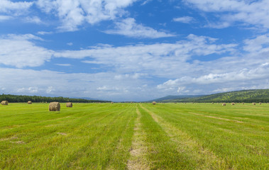 Fototapeta na wymiar Round hay bales on the green field on Kamchatka