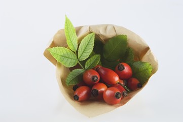 Rose hips in a paper bag
