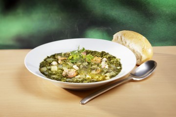 Green cabbage stew with coriander