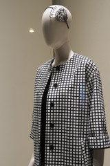 store mannequin shopping
