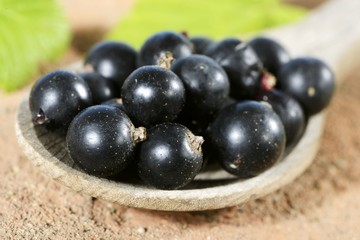 Blackcurrants on a wooden spoon (close-up)
