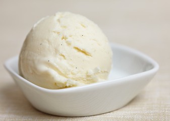 A scoop of home-made frozen yoghurt in a bowl