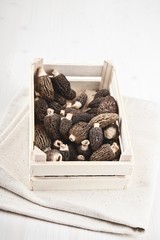 Fresh morels in a wooden box