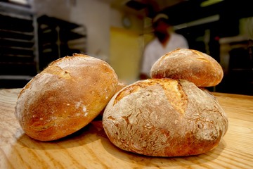 Several freshly baked loaves in a bakery