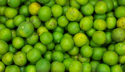 Lime in farmer basket