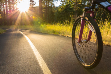 Vélo sur chemin asphalté éclairé par le soleil.