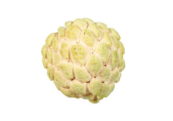 Fototapeta premium sugar apple