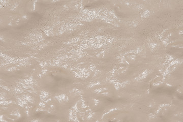 Shiny Mud Textrue
