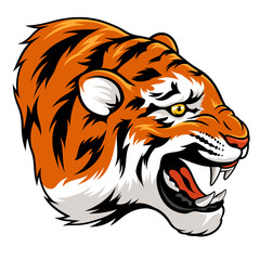 Tiger 003