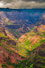 Overlooking Waimea Canyon State Park, Kauai, Hawaii, USA