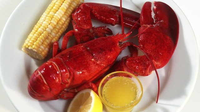 Cooked lobster with corn on the cob and butter sauce