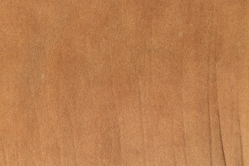  Cow Fur Skin Closeup Background.
