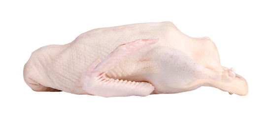 poultry, raw duck isolated on a white background
