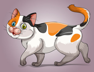 Cute kitten with tri-colors