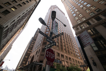 PAESAGGIO DI NEW YORK