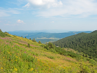 Fototapeta premium Landschaft in der Niederen Tatra
