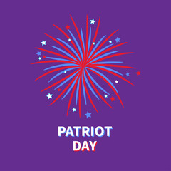 Patriot day Big fireworks night sky Star and strip  Flat design