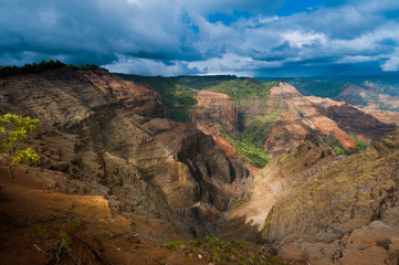 Overlooking Waimea Canyon State Park, Kauai, Hawaii, USA