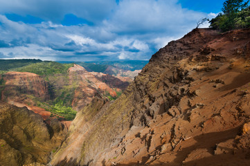 Overlooking Waimea Canyon State Park, Kauai, Hawaii, USA