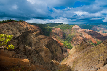 Fototapeta na wymiar Overlooking Waimea Canyon State Park, Kauai, Hawaii, USA