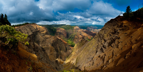 Overlooking Waimea Canyon State Park, Kauai, Hawaii, USA