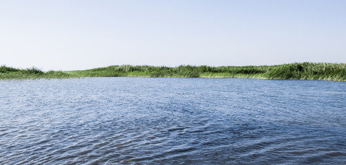 lake with cane