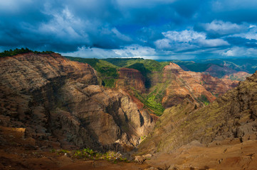 Overlooking Waimea Canyon State Park, Kauai, Hawaii, USA